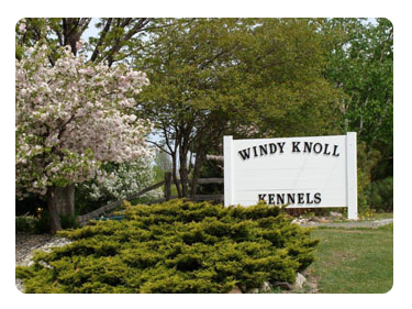 Windy Knoll Kennels