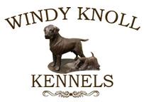 Windy Knoll Kennels